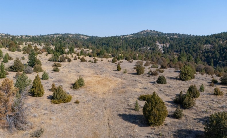 Lost Creek Haven Bordering Public Land