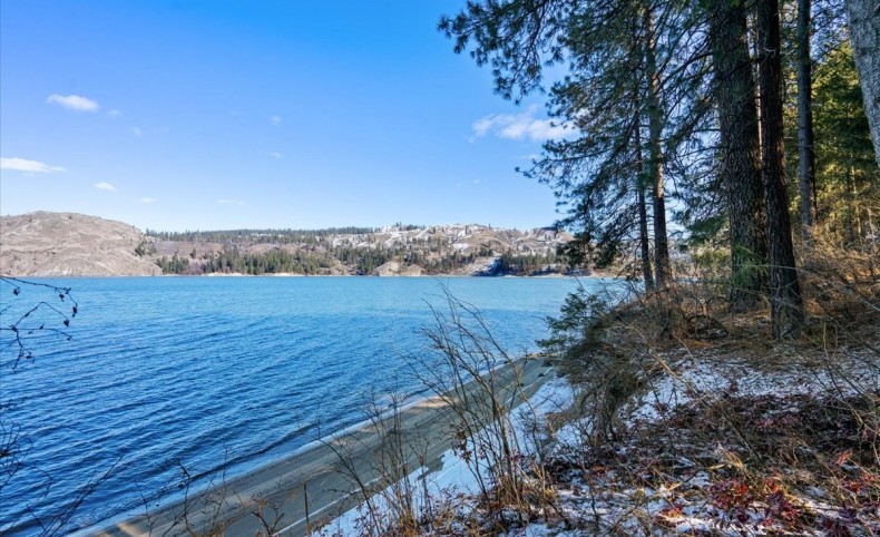 Porcupine in the Bay