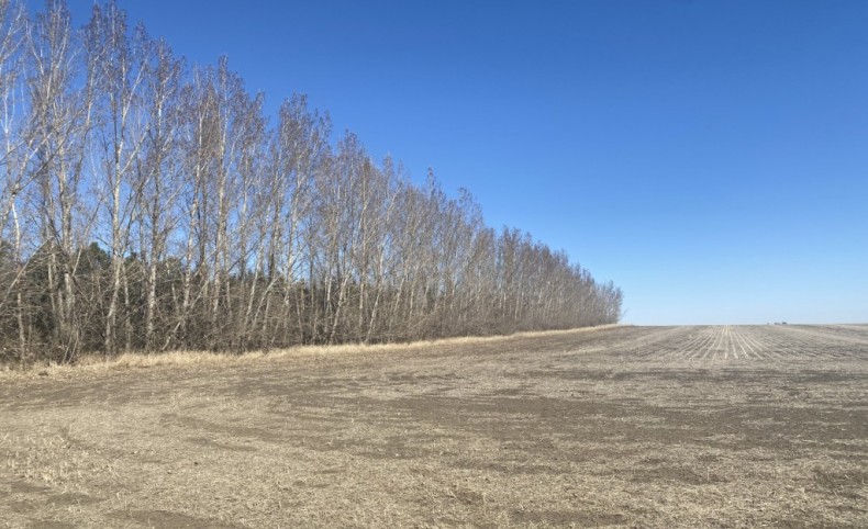Prairie Perfection