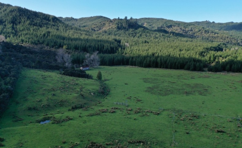 196 Griffiths Road, Ruatoria