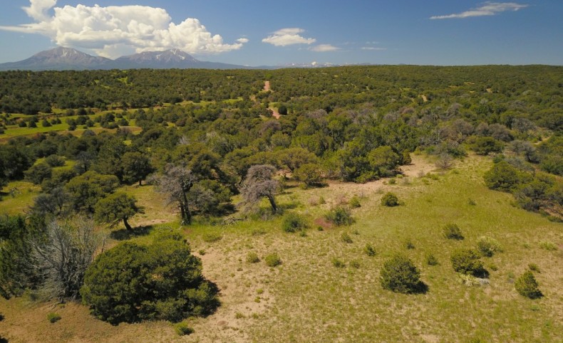 Williams Road Lookout