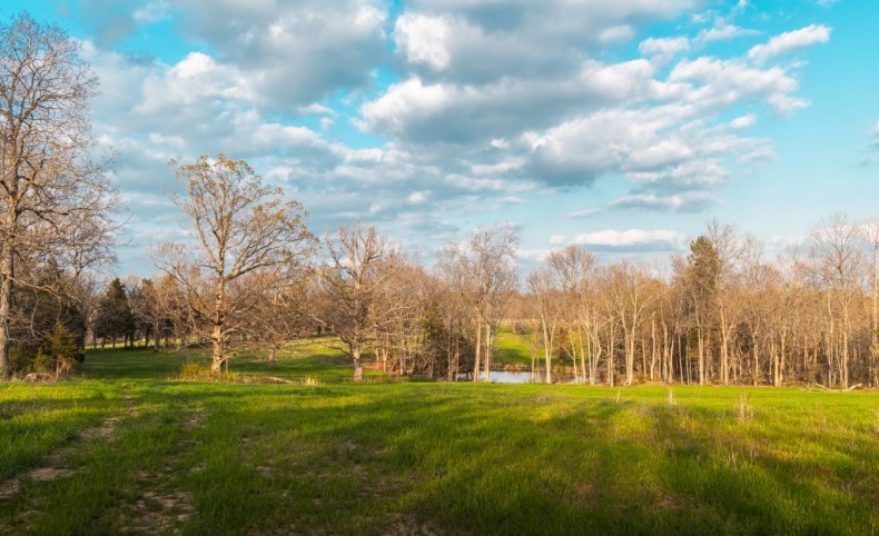 Prime Hunting Property County Road 213