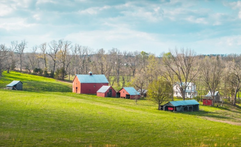 Productive Farm 32271 Maries Road 213