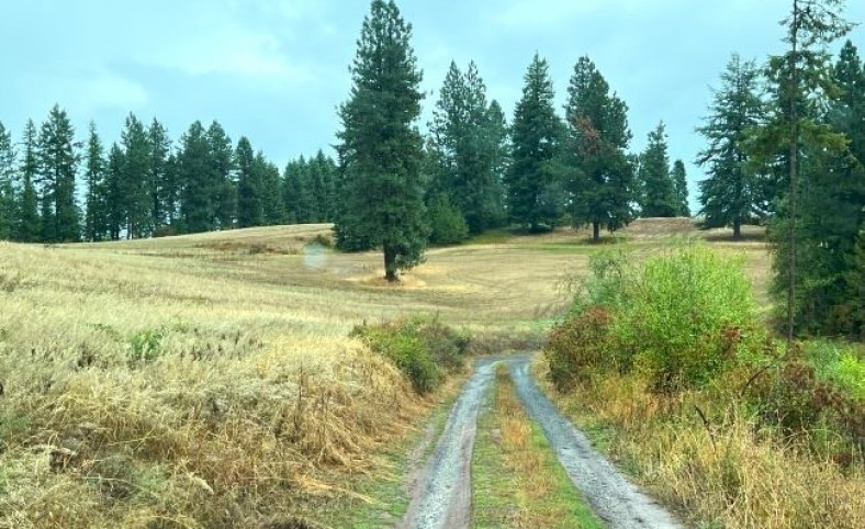 Hunting Haven at Dworshak