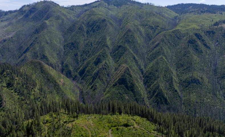 Forest Garden, Parcel 7