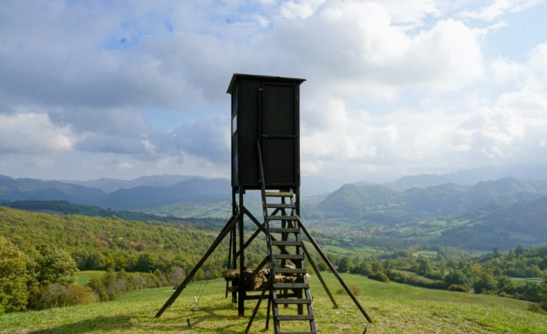 Charming Hunting Property