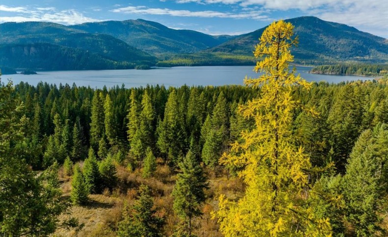 Noxon Reservoir Views