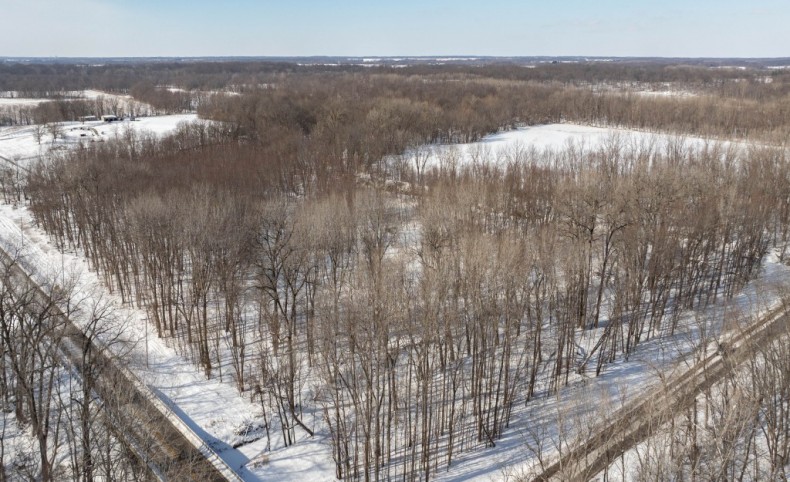 TBD Hagaman Rd, Chesterfield, IL