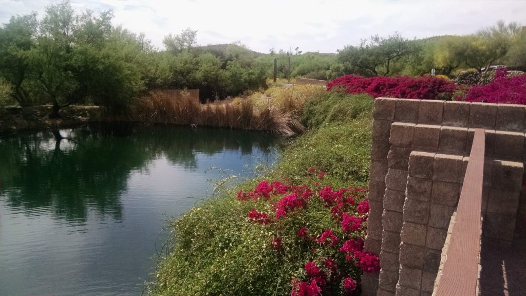 thumbnail_IMG_20170322_143704306