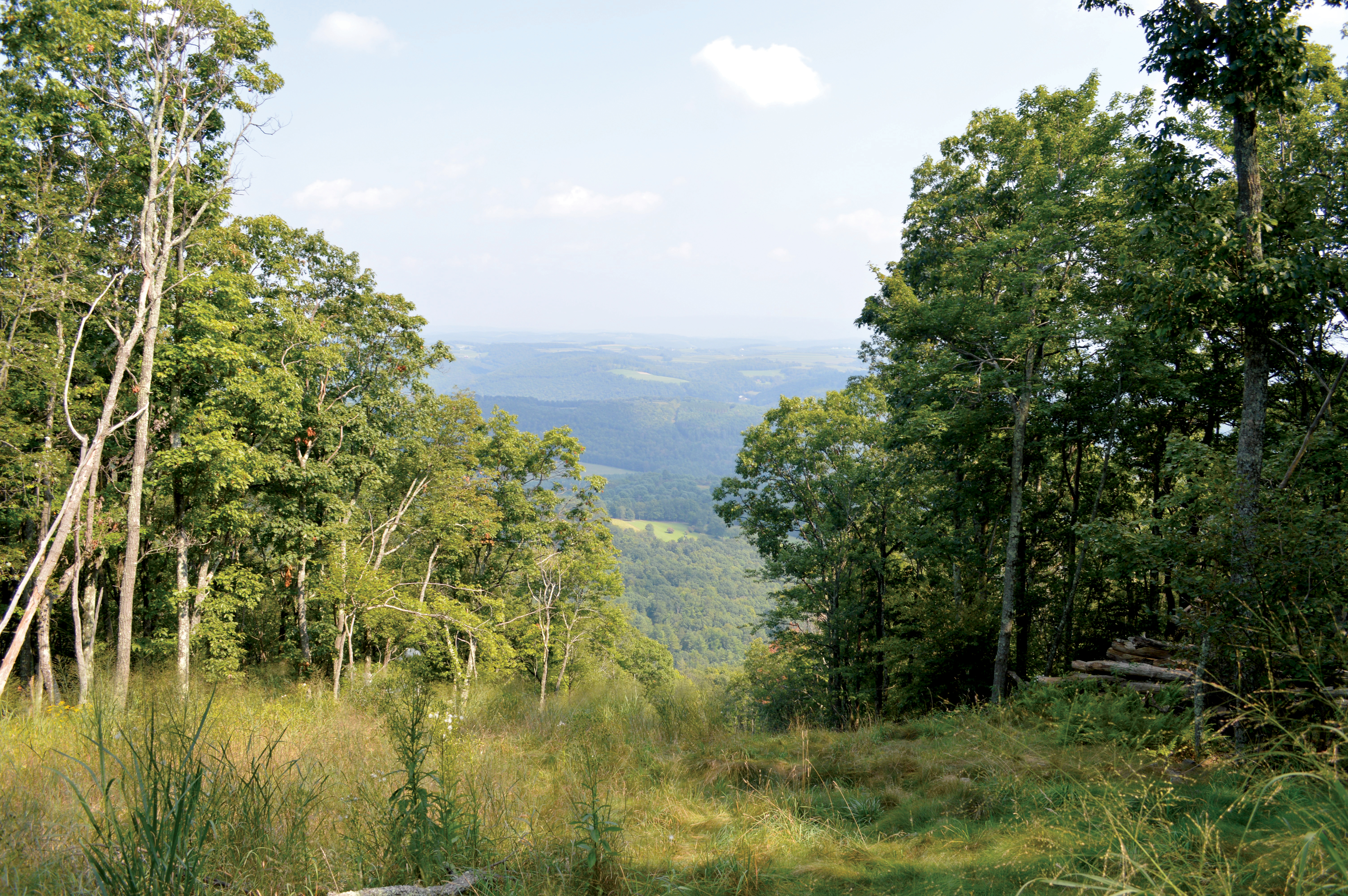 pennsylvania_land_for_sale