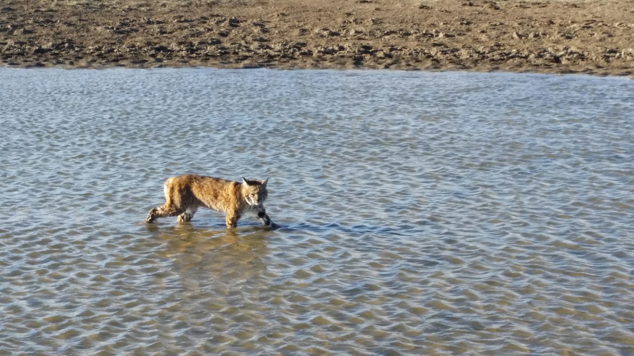 thumbnail_Meadowbrook Ranch