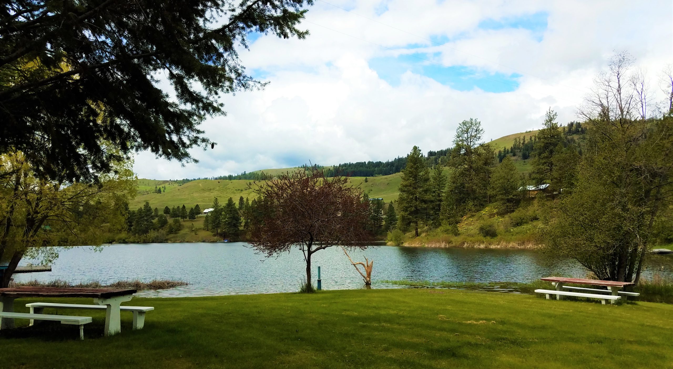 Best States for Young People