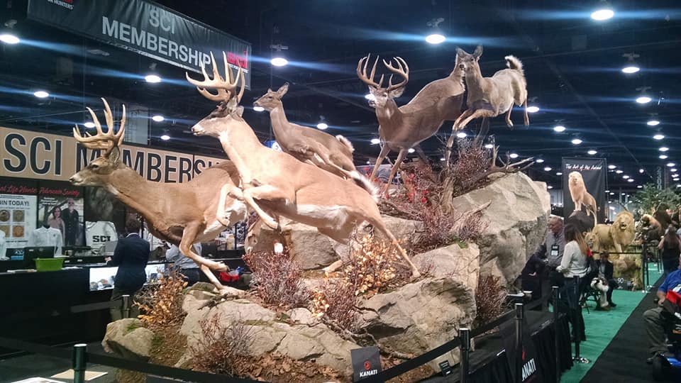 27072888_375150306230481_5510450651607357226_n